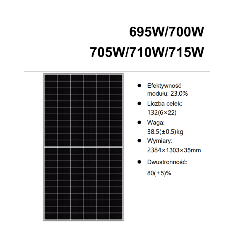 Panel fotowoltaiczny 705W bifacial silver frame TOPCon HT-SAAE HT66-210-ND-F-705