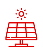 Однолицеві